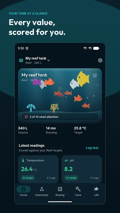Nerite screenshot 3